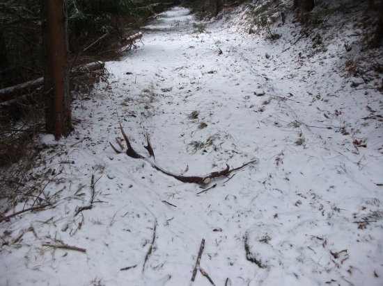 po cesticke malo kto chodi