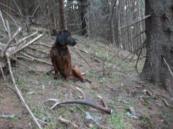 dnesna 2hod. vychadzka