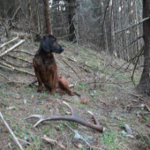 dnesna 2hod. vychadzka
