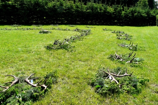 Výstava jeleních zhodov Pribylina 2011