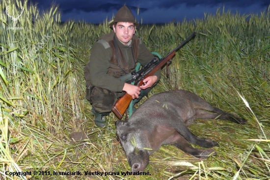 Lanštiačka zo zbožia