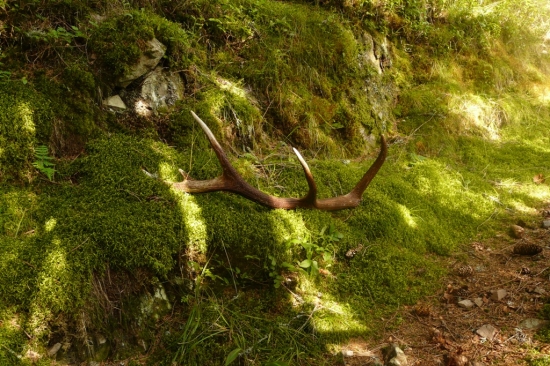 Dnešné prekvapenie na chodníku