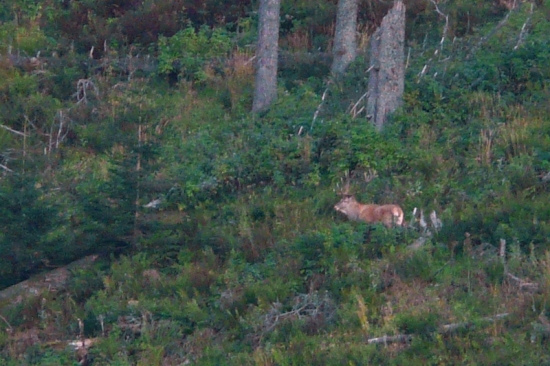 Aj najväčší král sa ukázal