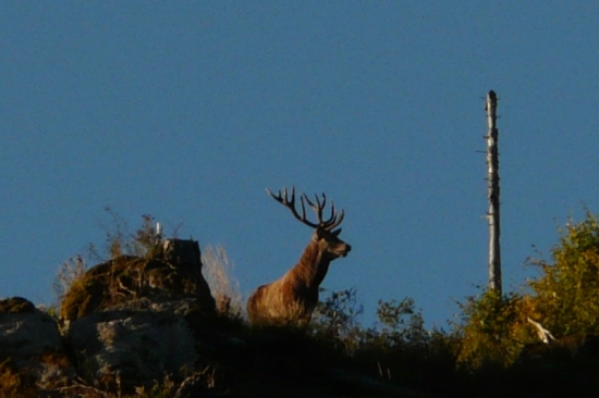 S dobrým rozhľadom