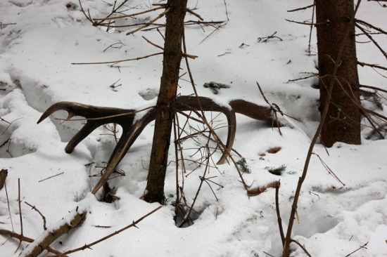 Keď počasie neodradí