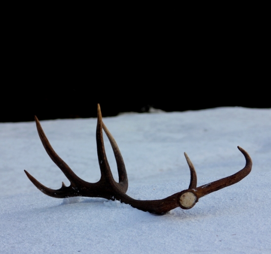 V celej svojej kráse