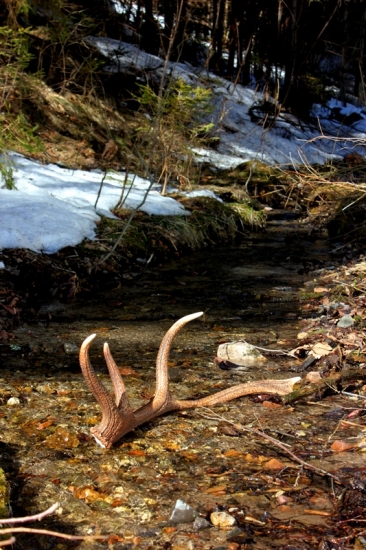 Dnešný desatoráčik