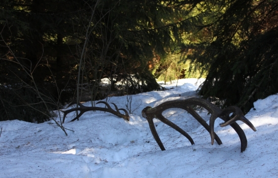 Vždy bude prvý pohľad najkrajší