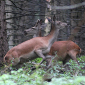 Tak tadiaľto nejdeme