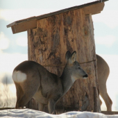 ...v čase núdze...