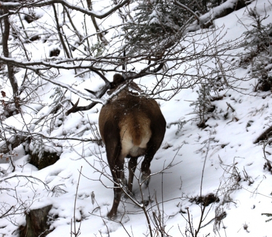 ...keď sa treba prehnúť...