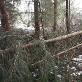 Tento zhodil pri zdolávaní prekážky