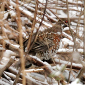 ...opäť kúsok šťastia...