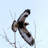 ...v plnej kráse...