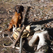 Náš vlaňajší úlovok