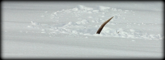 ...keď sa srdce rozbúši...