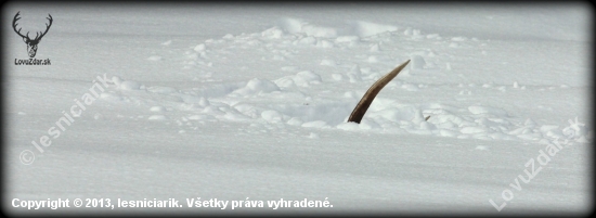 ...keď sa srdce rozbúši...