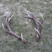 Po týždni boli opäť spolu