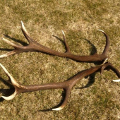 Vždy je najkrajšie keď sú oba spolu