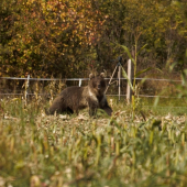 so statívom v pozadí