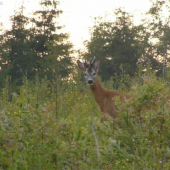 Spiatočník z Liptova