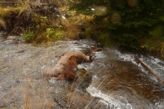 Samkova úspešná dohľadávka