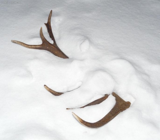 Takto si ma počkal :o))