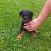 Pegy =)