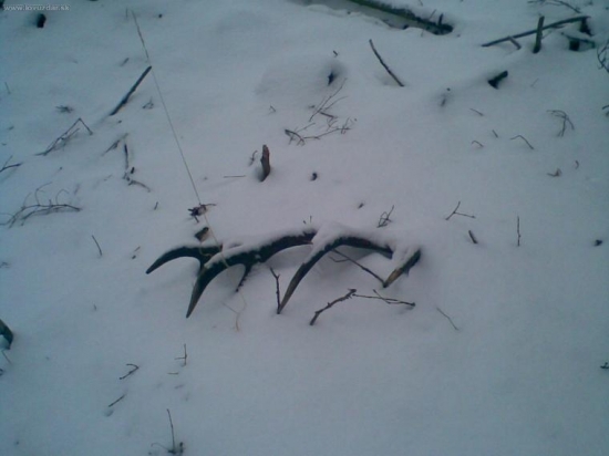 14-torak
