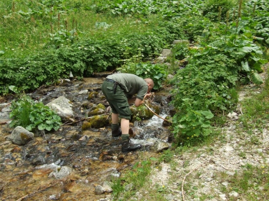 smedilo ma ako koňa