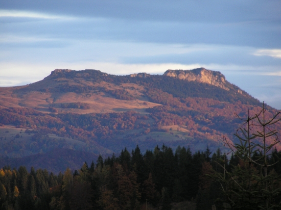 Kižky