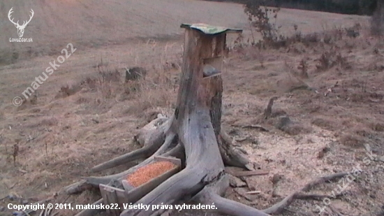 solisko