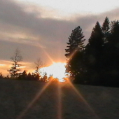 podvečer