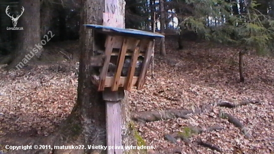 solisko