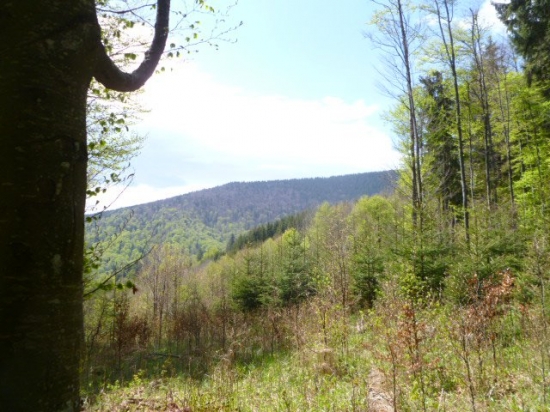 hrebeň Poľany