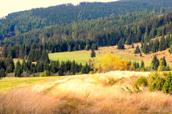 podhorské lúky