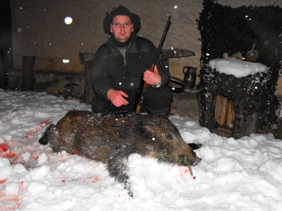 namiesto líšky prišli vepríky