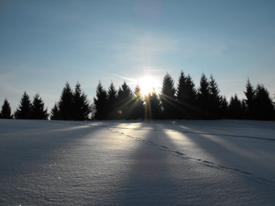 cestou zo štandu...