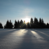 cestou zo štandu...