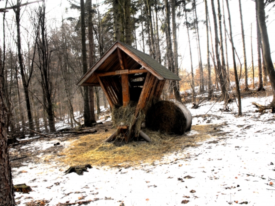 pekne navštevovaný...