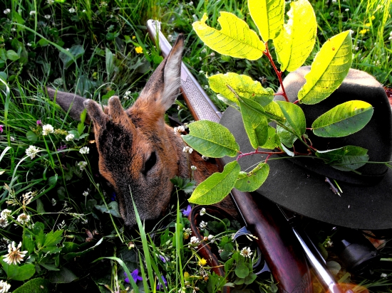 ked Diana a sv. Hubert doprajú...!