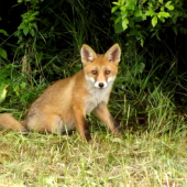 z novým foťáčikom...