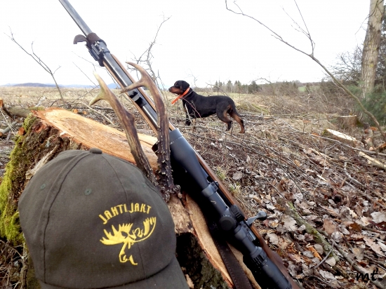 trofej bez výstrelu...