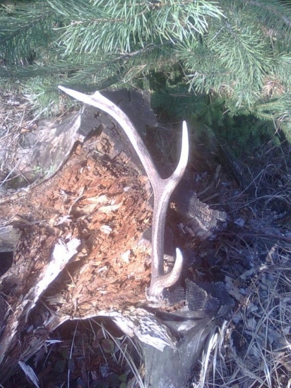 Finistou par,dal mi zan flasu slivovice...