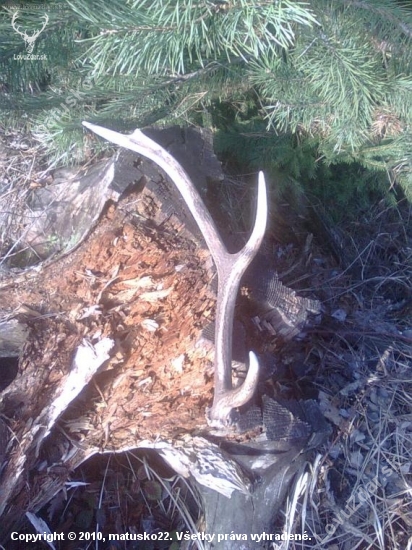 Finistou par,dal mi zan flasu slivovice...