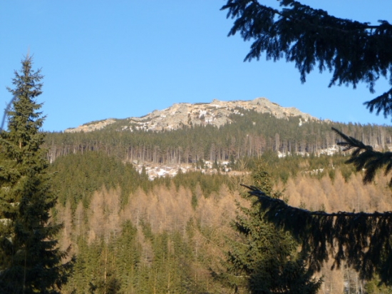 Kráľovstvo divočiny