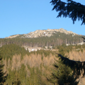 Kráľovstvo divočiny