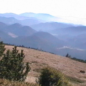 Vernár z Kraľovej Hole