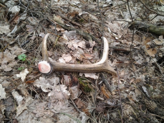 Nájdený minútu po zhodení