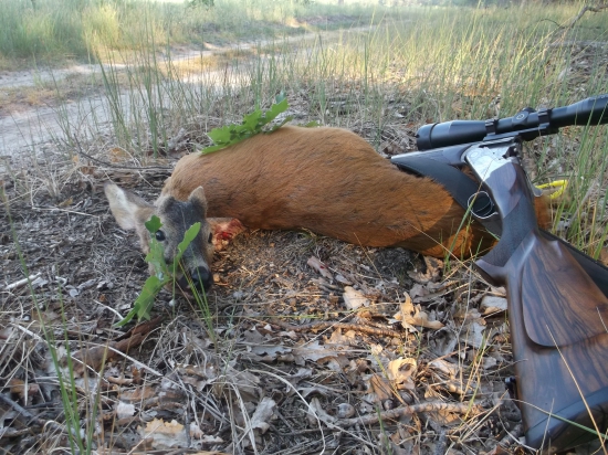 V prvých ranných lúčoch